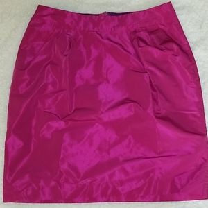 Banana Republic Pleated Skirt